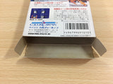 Hiryu no Ken Special Fighting Wars BOXED NES Famicom Japan - UD3298