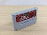 Card Master Rimusaria no Fuuin BOXED SNES Super Famicom Japan - UD2962