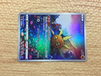 cc8255 Solrock Fighting AR s12a 189/172 Pokemon Card TCG Japan