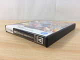 fh1984 Ryuusei no RockMan 2 Berserk x Dinosaur Megaman BOXED Nintendo DS Japan
