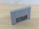 SD Hiryuu no Ken BOXED SNES Super Famicom Japan - UD1882