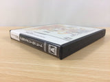 Ash Archaic Sealed Heat BOXED Nintendo DS Japan - FG9395