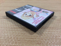 fg4493 Princess Maker 4 Special Edition BOXED Nintendo DS Japan