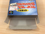 ShigetakaKashiwagiNo TopWaterBassingFishing BOXED SNES SuperFamicom - UC8283