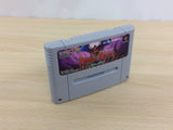 Demon's Crest Demon's Blazon Makaimura BOXED SNES Super Famicom Japan - UC9292