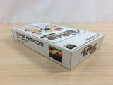 Gambler Jiko Chuushinha Mahjong Kouisen BOXED SNES Super Famicom Japan - UD2710