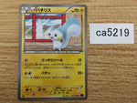 CA5219 Pachirisu Electric U XY4 025/088 Pokemon Card TCG Japan