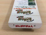 Gambler Jiko Chuushinha Mahjong Kouisen BOXED SNES Super Famicom Japan - UD2710