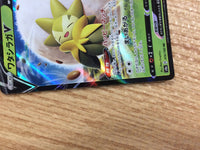 CB2980 Eldegoss V Grass RR S4a 016/190 Pokemon Card TCG Japan
