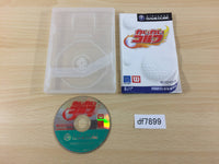 DF7899 Swingerz Golf Ace Golf Wai Wai Golf Disc GameCube Japan