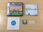 fh2910 Animal Crossing Wild World BOXED Nintendo DS Japan
