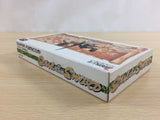 Soul & Sword BOXED SNES Super Famicom Japan - UC9891