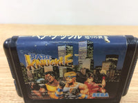 dh8089 Bare Knuckle Ikari no Tekken Mega Drive Genesis Japan
