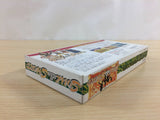 Soul & Sword BOXED SNES Super Famicom Japan - UC9891
