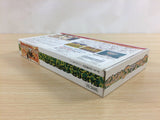 Soul & Sword BOXED SNES Super Famicom Japan - UC9891