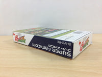 UB2975 Rushing Beat Ran Rival Turf! Brawl Brothers BOXED SNES SuperFamicom Japan