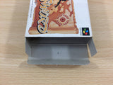 Soul & Sword BOXED SNES Super Famicom Japan - UC9891