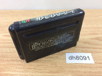dh8091 Super Hydlide Mega Drive Genesis Japan