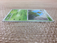 cc6303 Sceptile Grass Rare Pt4 007/090 Pokemon Card TCG Japan