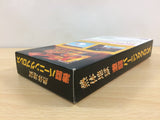 Gekitou Burning ProWrestling BOXED SNES Super Famicom Japan - UB8105