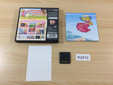 fh2912 Super Princess Peach BOXED Nintendo DS Japan