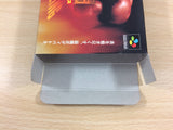 Gekitou Burning ProWrestling BOXED SNES Super Famicom Japan - UB8105