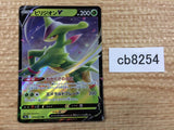 CB8254 Virizion V Grass RR s9a 010/067 Pokemon Card TCG Japan