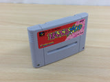 Popful Mail BOXED SNES Super Famicom Japan - UD4586