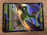 CB8254 Virizion V Grass RR s9a 010/067 Pokemon Card TCG Japan