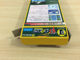 Super F1 Circus Racing BOXED SNES Super Famicom Japan - UD8778