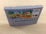 df2401 Kawa no Nushi Tsuri 2 Fishing BOXED SNES Super Famicom Japan