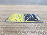 CD2059 Zebstrika Electric PROMO PROMO 054/BW-P Pokemon Card TCG Japan