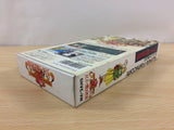 Ancient Magic Bazoo! Mahou Sekai BOXED SNES Super Famicom Japan - UC1832