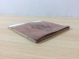 Final Fantasy Tactics A2 Fuuketsu no Grimoire BOXED Nintendo DS Japan - FH2914