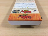 Tenchi Muyo! Game Hen BOXED SNES Super Famicom Japan - UB2405