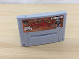 Dragon Knight 4 BOXED SNES Super Famicom Japan - UC2433