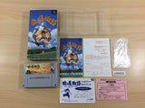 Harvest Moon Bokujou Monogatari BOXED SNES Super Famicom Japan - UD8403