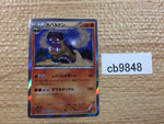 CB9848 Hippowdon Fighting R XY5GV 042/070 Pokemon Card TCG Japan