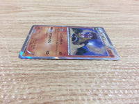 CB9848 Hippowdon Fighting R XY5GV 042/070 Pokemon Card TCG Japan