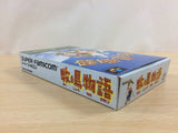 Harvest Moon Bokujou Monogatari BOXED SNES Super Famicom Japan - UD8403