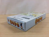 Harvest Moon Bokujou Monogatari BOXED SNES Super Famicom Japan - UD8403