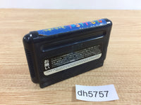 DH5757 Crayon Shin-Chan Arashi no Yobu Enji Mega Drive Genesis Japan