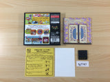 Okaeri! Chibi Robo! BOXED Nintendo DS Japan - FG7747