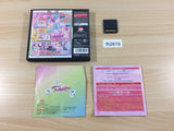Heart Catch Pre Cure ! BOXED Nintendo DS Japan - FH2619