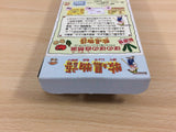 Harvest Moon Bokujou Monogatari BOXED SNES Super Famicom Japan - UD8403