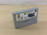 Nichibutsu Mahjong 2 Zenkoku Seiha Hen BOXED SNES Super Famicom Japan - UC5492