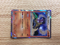 CB9850 Hippowdon Fighting R XY5GV 042/070 Pokemon Card TCG Japan