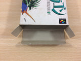 Emerald Dragon BOXED SNES Super Famicom Japan - UC9779