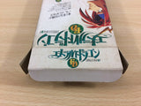 Emerald Dragon BOXED SNES Super Famicom Japan - UC9779