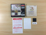 Okamiden Chiisaki Taiyo BOXED Nintendo DS Japan - FG7749